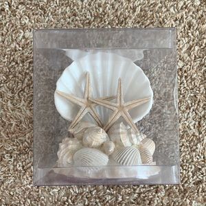 Seashell cake topper